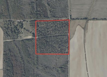 Hunting Land for sale in West Carroll Parish, Louisiana