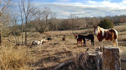 Property for sale in Anderson County, Kansas