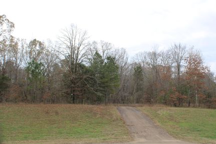Property for sale in Marshall County, Mississippi