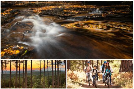 Residential Property for sale in Gilmer County, Georgia