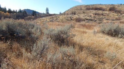 Property for sale in Okanogan County, Washington