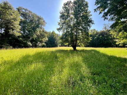 Property for sale in Butler County, Alabama