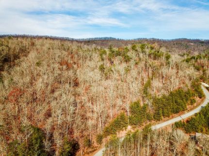 Undeveloped Land for sale in Claiborne County, Tennessee