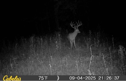 Property for sale in Hughes County, Oklahoma