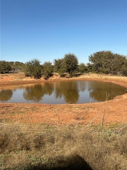 Undeveloped Land for sale in Nolan County, Texas