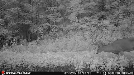 Property in Morrison County, Minnesota