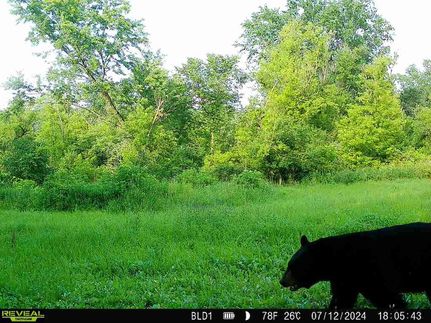 Property in Jackson County, Wisconsin