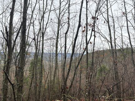Hunting Land for sale in Jackson County, Alabama