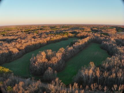 Timberland Property for sale in Hardeman County, Tennessee