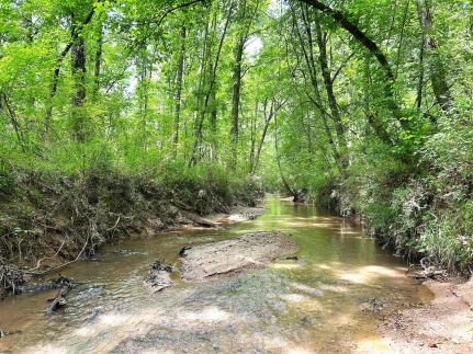 Hunting Land for sale in Putnam County, Georgia