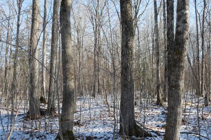 Property for sale in Price County, Wisconsin