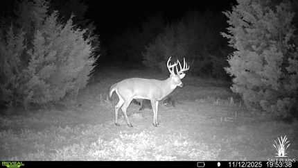 Property for sale in Pratt County, Kansas