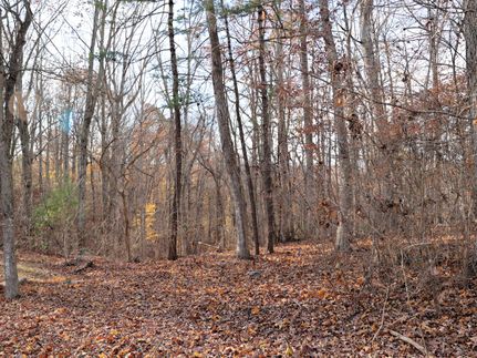 Undeveloped Land for sale in Radford County, Virginia