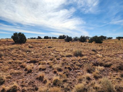 Property for sale in Apache County, Arizona