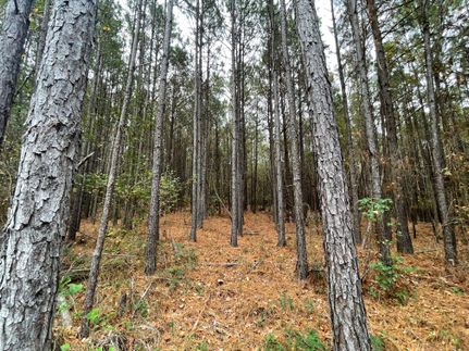 Property for sale in Smith County, Texas