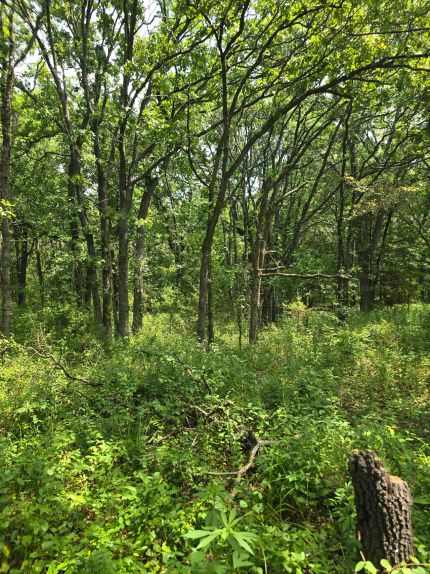 Recreational Property for sale in Wilson County, Kansas