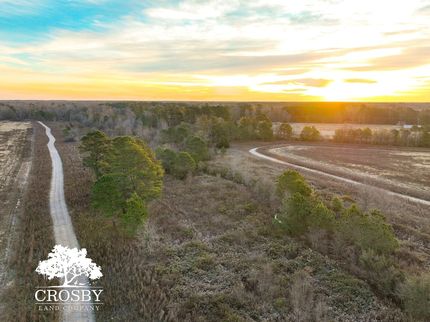 Farm Property for sale in Clarendon County, South Carolina