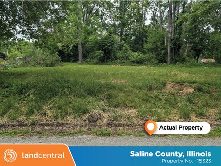 Undeveloped Land for sale in Saline County, Illinois