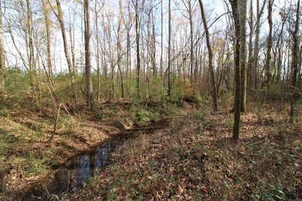 Undeveloped Land for sale in York County, South Carolina