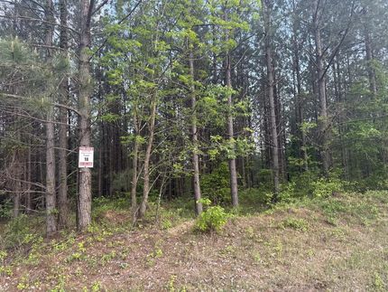 Property for sale in Houston County, Tennessee