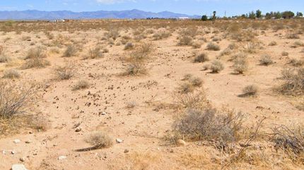 Undeveloped Land for sale in Mohave County, Arizona