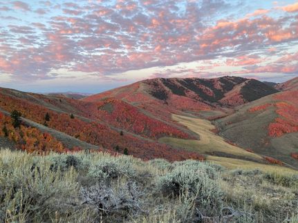 Recreational Property for sale in Oneida County, Idaho