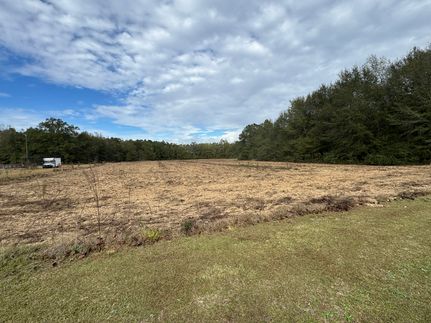 Undeveloped Land for sale in Escambia County, Alabama