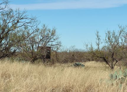 Property for sale in Mitchell County, Texas