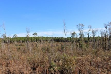 Undeveloped Land for sale in Laurens County, Georgia