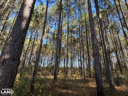 Recreational Property for sale in Coffee County, Alabama