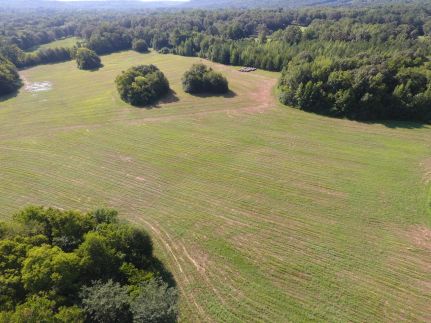 Hunting Land for sale in Colbert County, Alabama