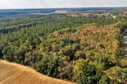 Property for sale in Worth County, Georgia