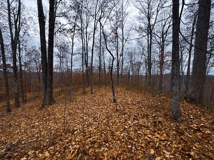 Hunting Land for sale in Ritchie County, West Virginia