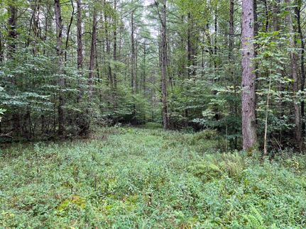 Hunting Land for sale in Warren County, Pennsylvania