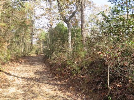 Property for sale in Wayne County, Mississippi