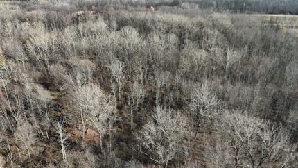 Hunting Land for sale in Orleans County, New York