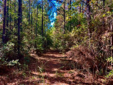 Property for sale in Lamar County, Mississippi