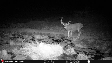 Property for sale in Sevier County, Utah