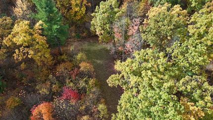 Property for sale in Clare County, Michigan