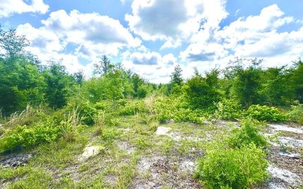 Property for sale in Lafayette County, Florida