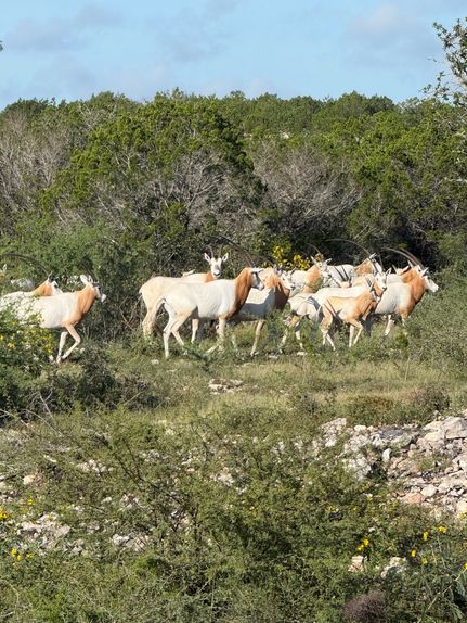 Property for sale in Edwards County, Texas