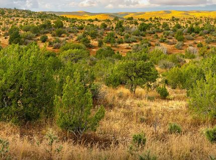 Property for sale in Otero County, New Mexico