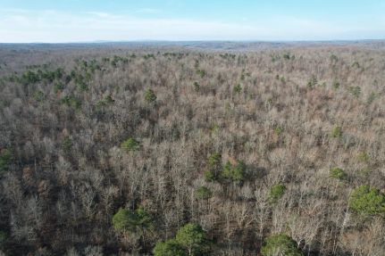 Property for sale in Madison County, Missouri