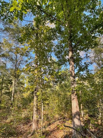 Property for sale in Butts County, Georgia