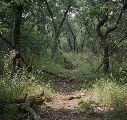 Property for sale in Seminole County, Oklahoma