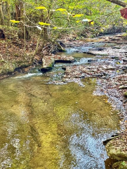 Property for sale in Butts County, Georgia