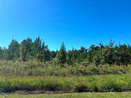 Timberland Property for sale in Craven County, North Carolina