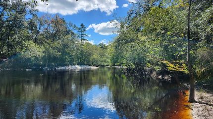 Recreational Property for sale in Charlton County, Georgia