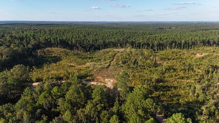 Property for sale in Yalobusha County, Mississippi