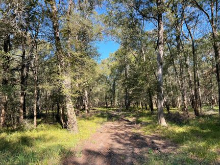 Recreational Property for sale in Leon County, Texas